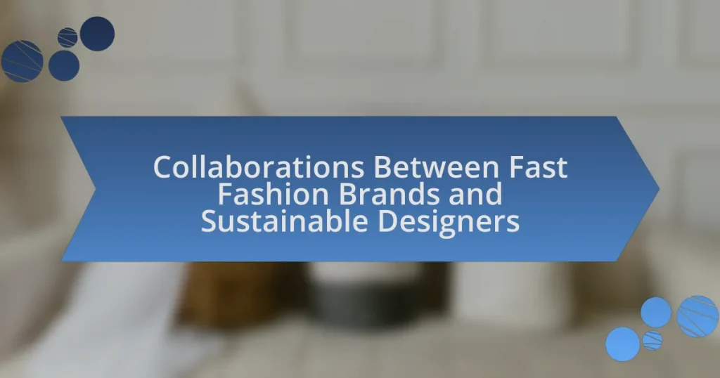 Collaborations Between Fast Fashion Brands and Sustainable Designers