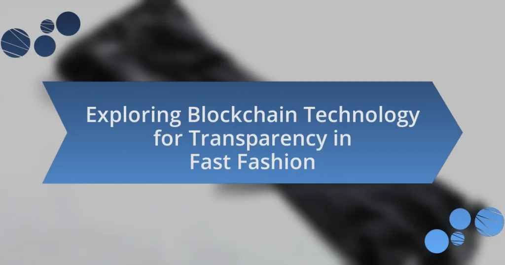Exploring Blockchain Technology for Transparency in Fast Fashion