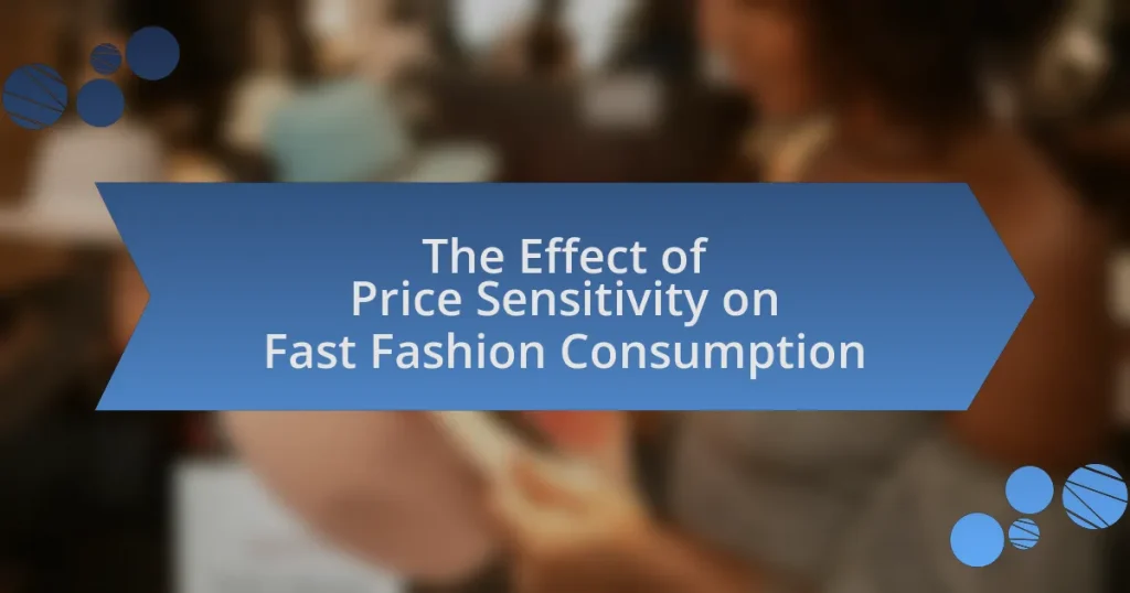 The Effect of Price Sensitivity on Fast Fashion Consumption