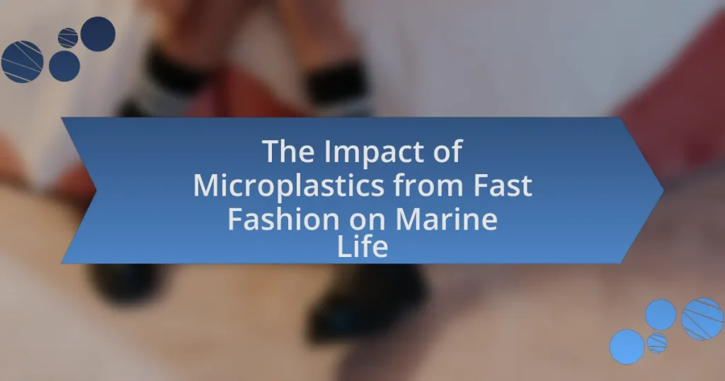 The Impact of Microplastics from Fast Fashion on Marine Life