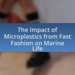 The Impact of Microplastics from Fast Fashion on Marine Life