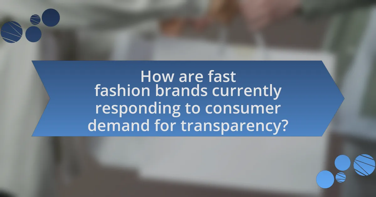 How are fast fashion brands currently responding to consumer demand for transparency?