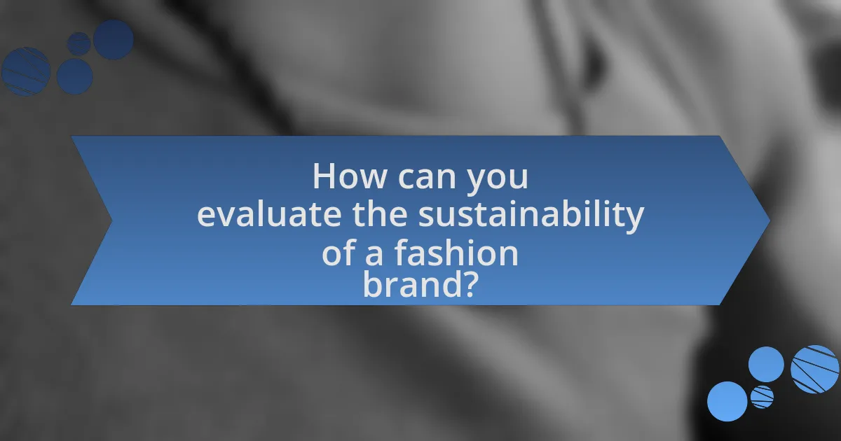 How can you evaluate the sustainability of a fashion brand?