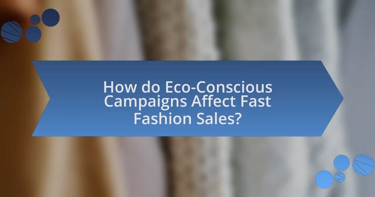 How do Eco-Conscious Campaigns Affect Fast Fashion Sales?