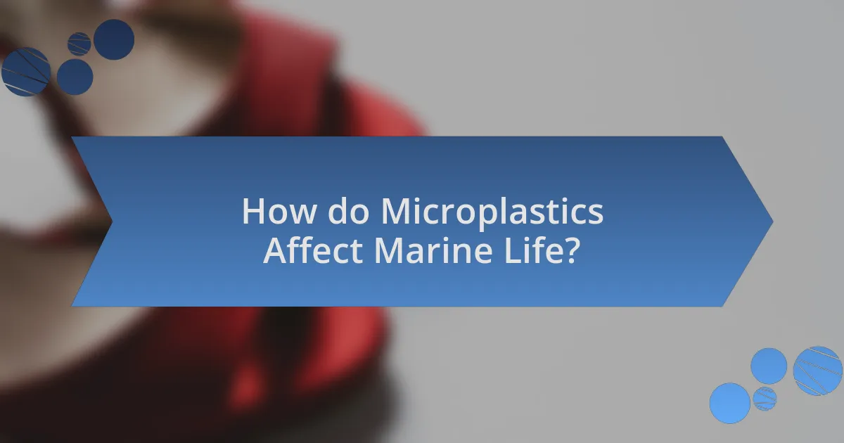 How do Microplastics Affect Marine Life?