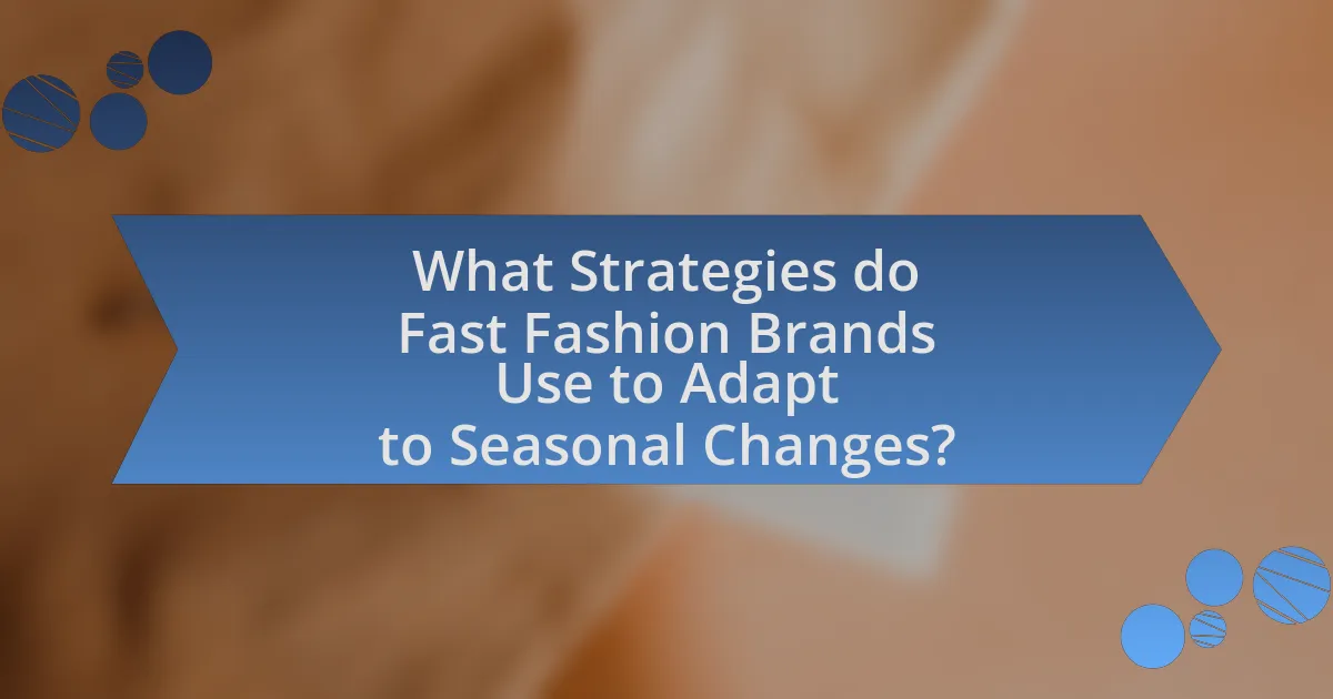What Strategies do Fast Fashion Brands Use to Adapt to Seasonal Changes?