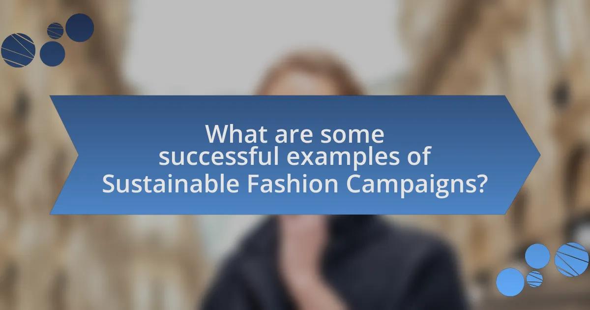 What are some successful examples of Sustainable Fashion Campaigns?