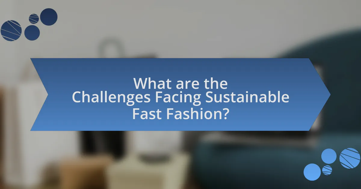 What are the Challenges Facing Sustainable Fast Fashion?
