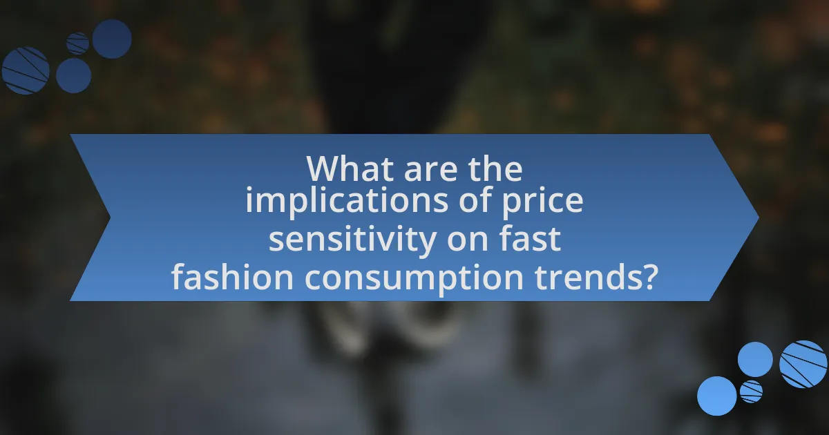 What are the implications of price sensitivity on fast fashion consumption trends?