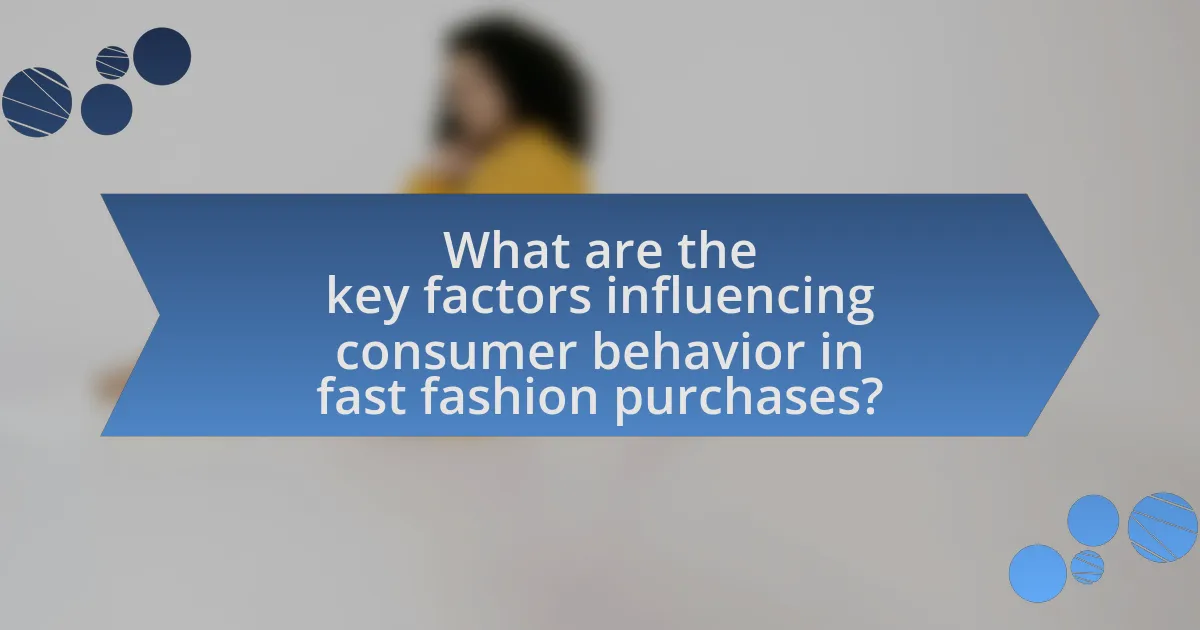 What are the key factors influencing consumer behavior in fast fashion purchases?