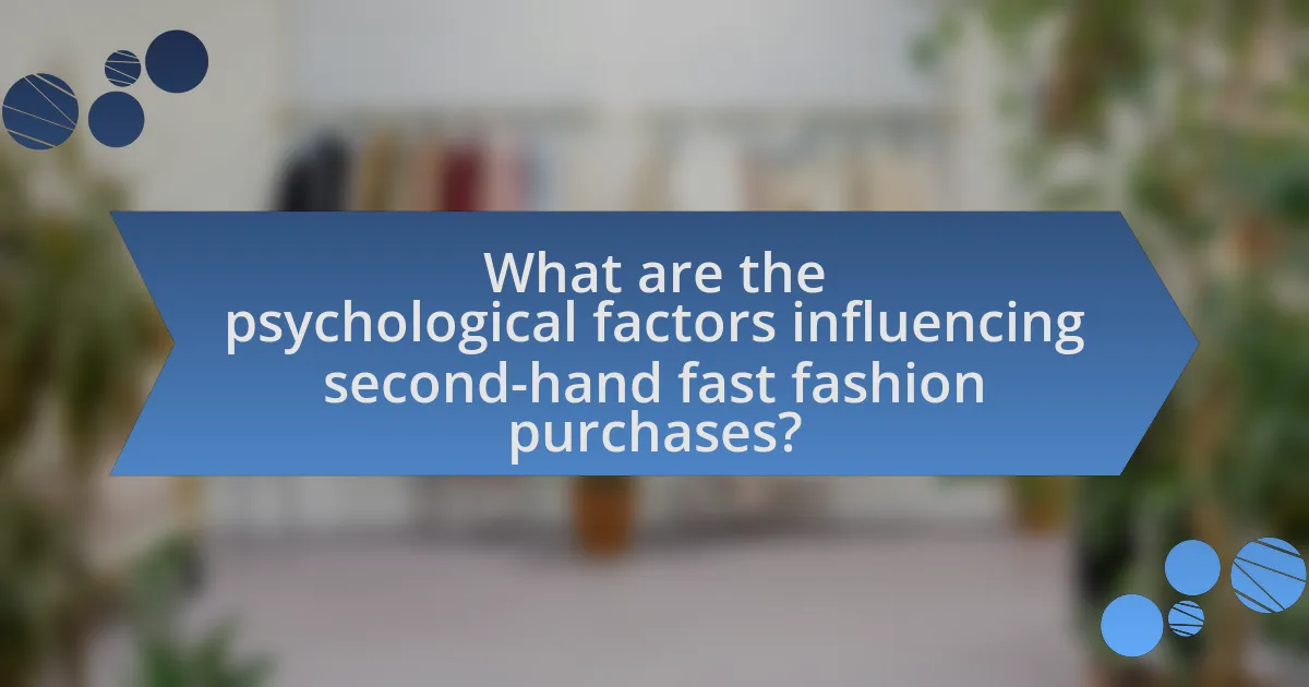 What are the psychological factors influencing second-hand fast fashion purchases?