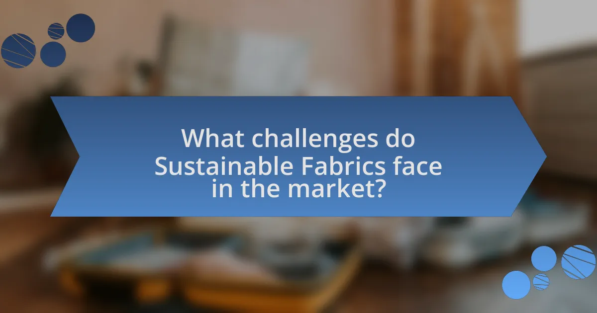 What challenges do Sustainable Fabrics face in the market?