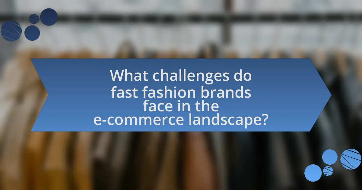 What challenges do fast fashion brands face in the e-commerce landscape?