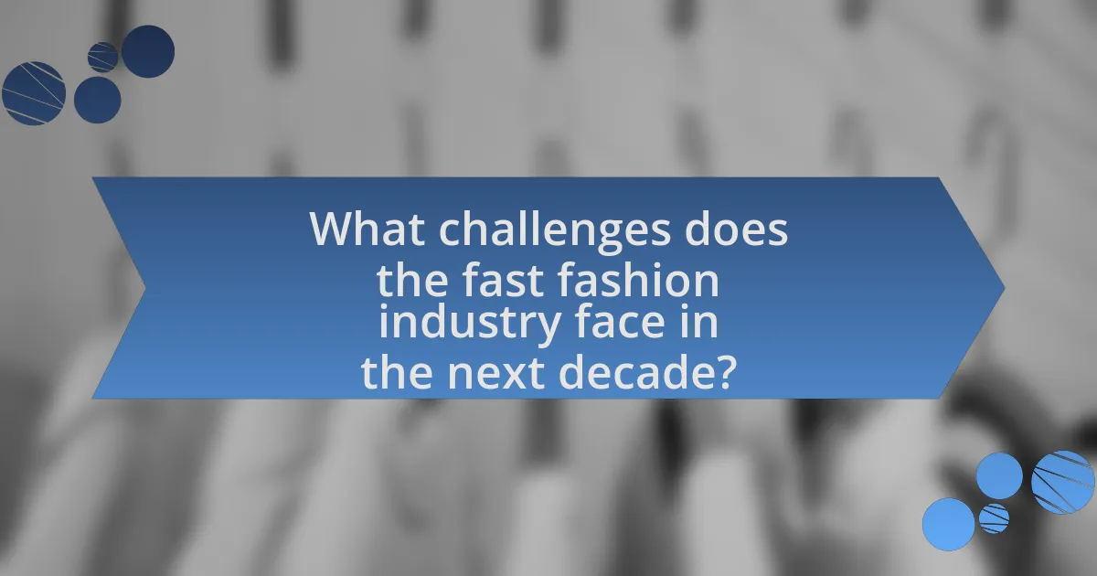 What challenges does the fast fashion industry face in the next decade?