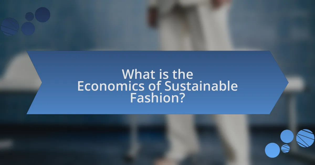 What is the Economics of Sustainable Fashion?