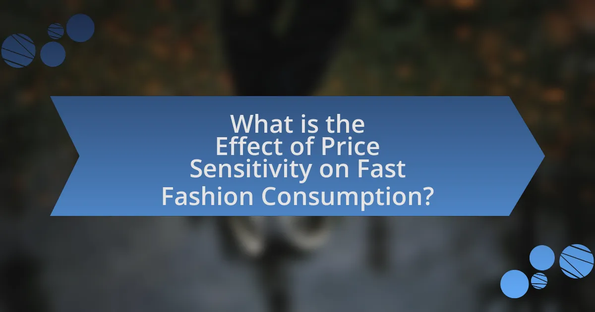 What is the Effect of Price Sensitivity on Fast Fashion Consumption?