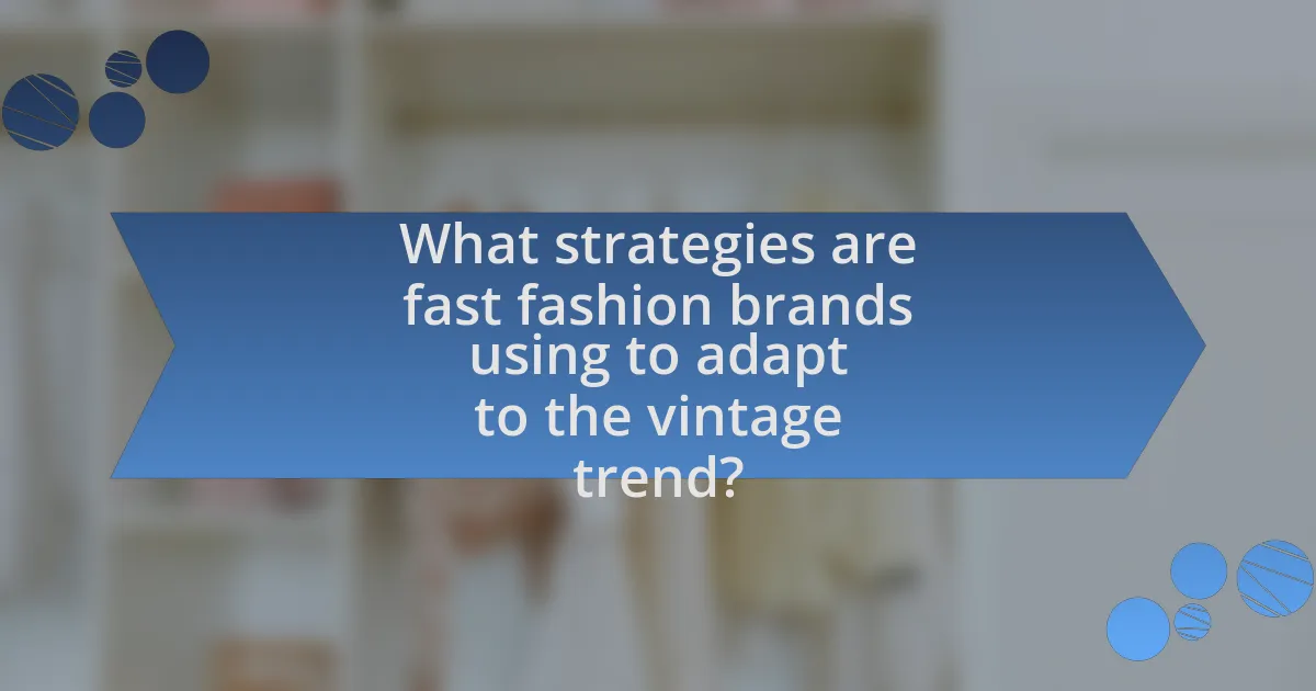 What strategies are fast fashion brands using to adapt to the vintage trend?